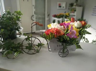 PRACOWNIA FLORYSTYCZNA CHABROWE WZGÓRZE SP. Z O.O